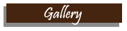 Gallery Tab